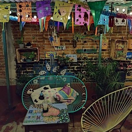 Casa Apapacho Hostel Сан-Кристобаль-де-Ла-Касас Экстерьер фото