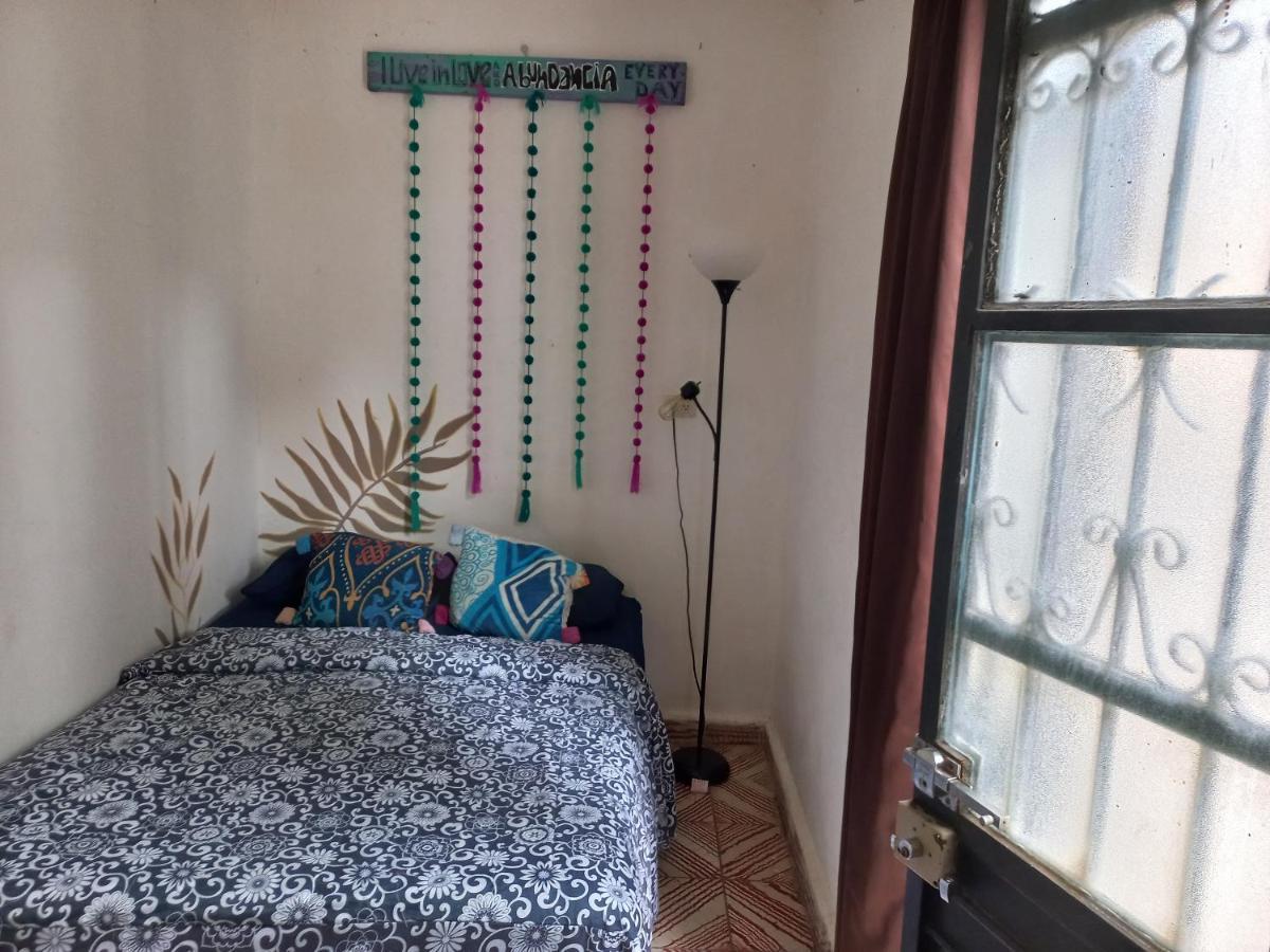 Casa Apapacho Hostel Сан-Кристобаль-де-Ла-Касас Экстерьер фото
