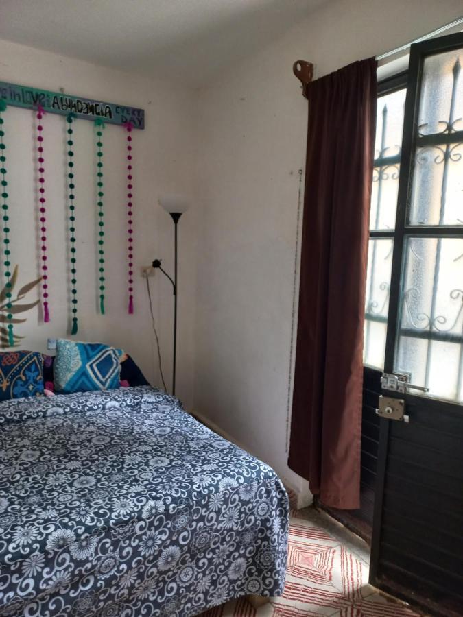 Casa Apapacho Hostel Сан-Кристобаль-де-Ла-Касас Экстерьер фото