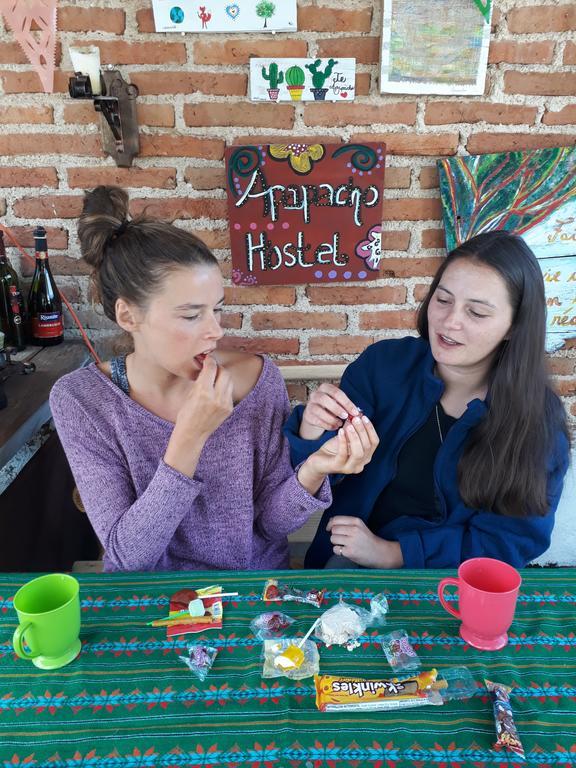 Casa Apapacho Hostel Сан-Кристобаль-де-Ла-Касас Экстерьер фото